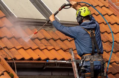 Démoussage et hydrofuge de toiture à Gesvres